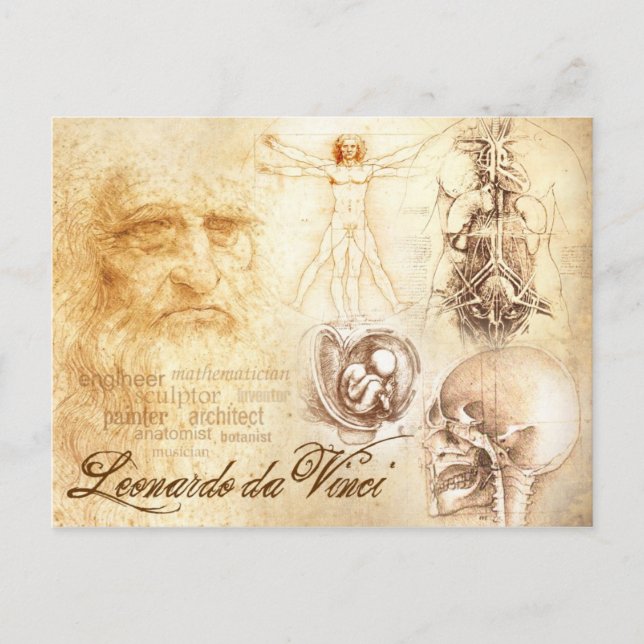 Da Vinci's Self-portrait and Anatomical Studies Postcard (Front)