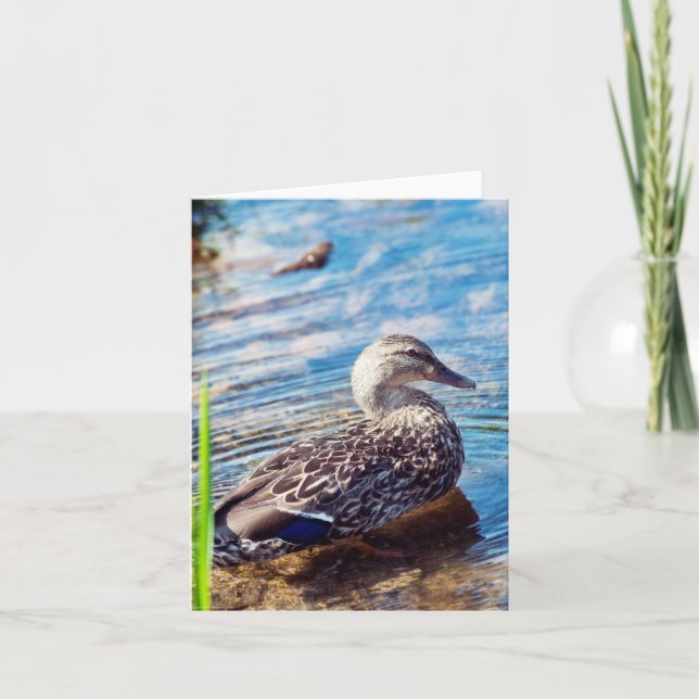 Dabbling Ripples Card (Front)