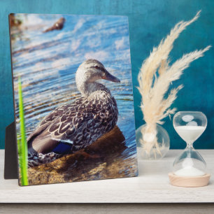 Dabbling Ripples Plaque