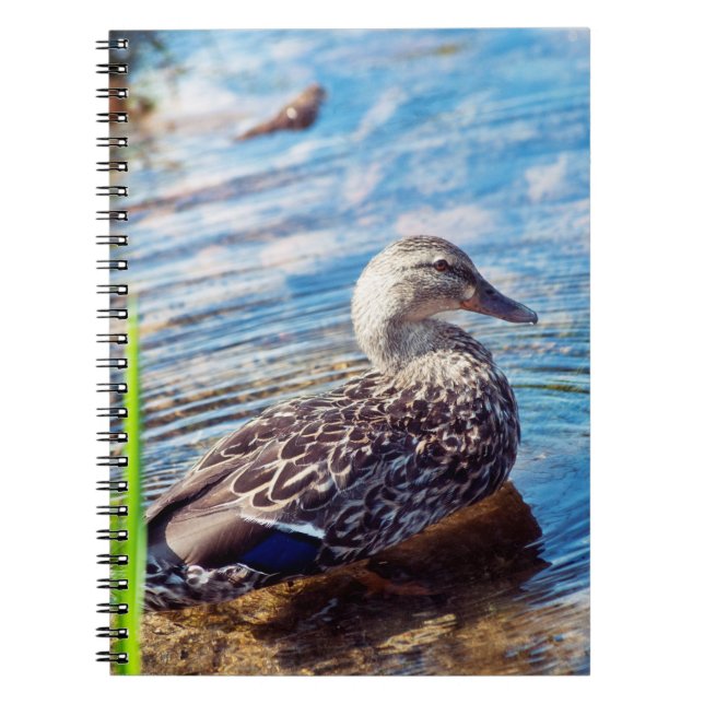 Dabbling Ripples Spiral Notebook (Front)