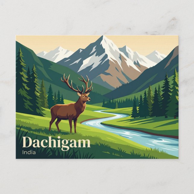 Dachigam National Park India Postcard (Front)