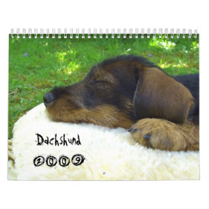 Dachshund 2009 - customisable calendar! calendar