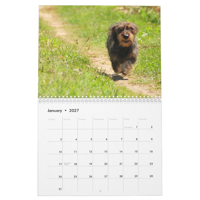 Dachshund 2011 - customisable calendar! calendar (Jan 2027)