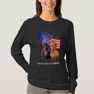 Dachshund 4th Of July Is Coming American Flag Patr T-Shirt