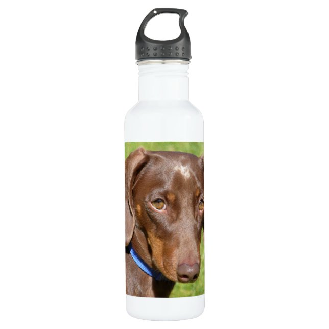 Dachshund 710 Ml Water Bottle (Front)