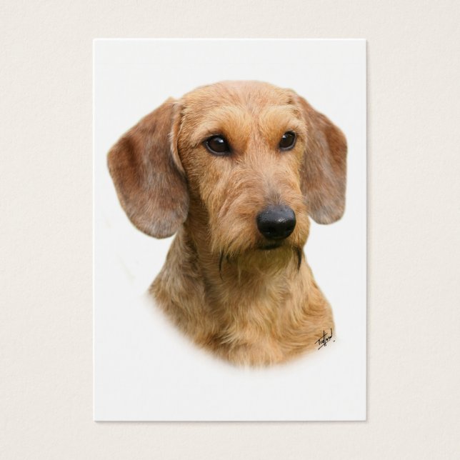 Dachshund 9Y426D-207-2 (Front)
