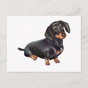 Dachshund (A) - Black and Tan Postcard