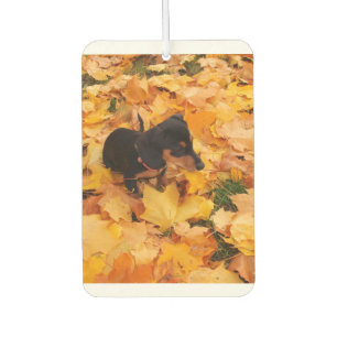 Dachshund airfreshener car air freshener