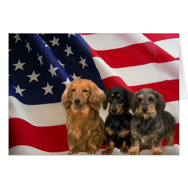 Dachshund America Card (Front Horizontal)