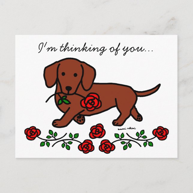 Dachshund and a flower cartoon postcard (Front)