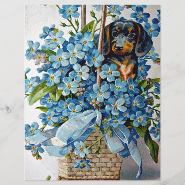 Dachshund and Forget-Me-Nots (Front)