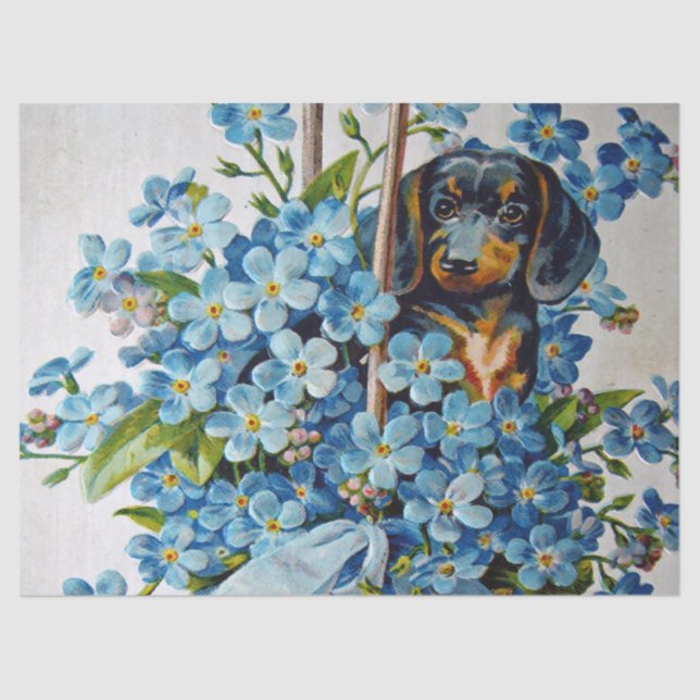 Dachshund and Forget-Me-Nots Tissue Paper (Front)