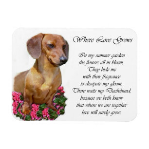 Dachshund Art Gifts Magnet