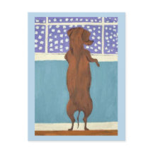 Dachshund at Window watching it Snow
