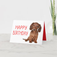 Dachshund Birthday Funny Wiener Dog  Dashie Bday