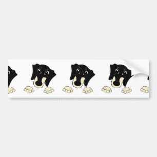 Dachshund black and cream peeking cartoon bumper sticker