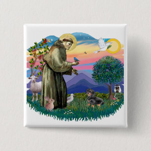 Dachshund (black and tan) 15 cm square badge