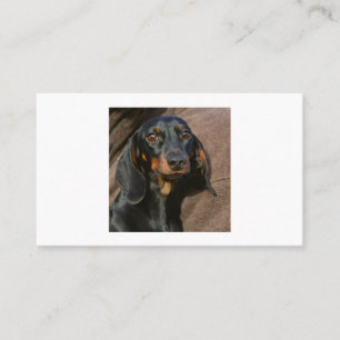 dachshund black and tan business card