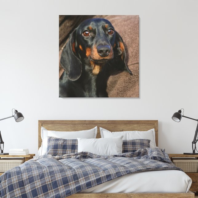 dachshund black and tan canvas print (Insitu(Bedroom))