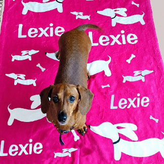 Dachshund Blanket Pink Personalised Doxie Gift