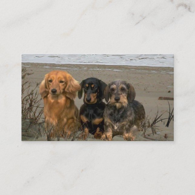 Dachshund Breeder Business Card (Front)