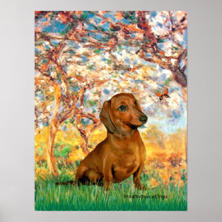 Dachshund (brown1) - Spring Poster