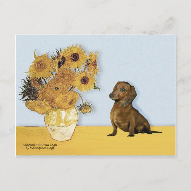 Dachshund (brown1) - Sunflowers Postcard (Front)