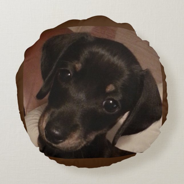 Dachshund Brushed Poly Round Throw Pillow (16") (Back)