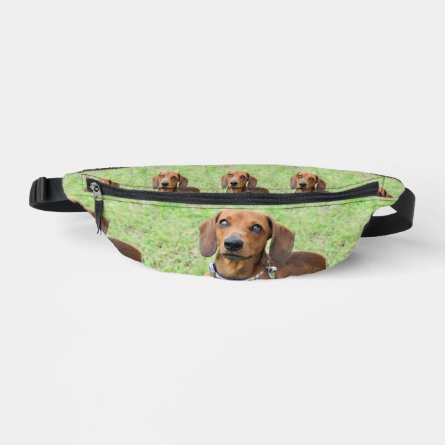 Dachshund  bum bags (Front)