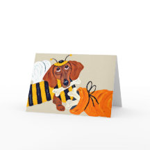 Dachshund Bumblebee with dog treats
