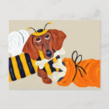 Dachshund Bumblebee with dog treats