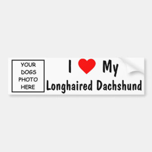 Dachshund Bumper Sticker