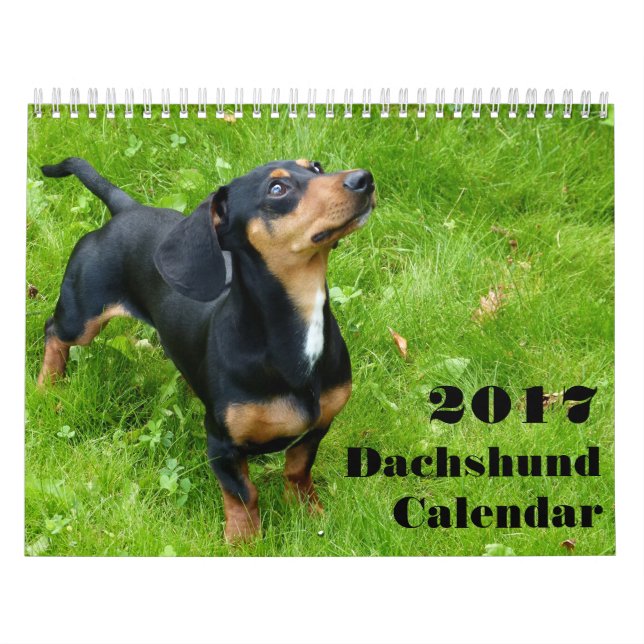 Dachshund Calendar 2023 With Your Photos (Cover)