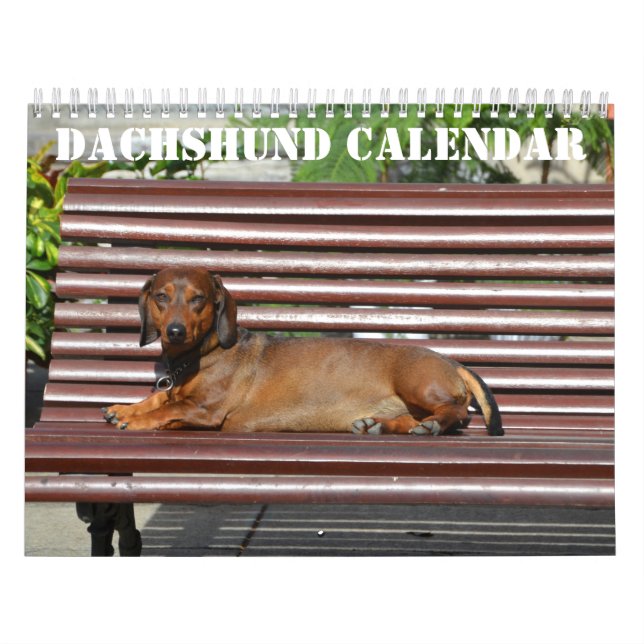 Dachshund Calendar 2026 With Photos (Cover)