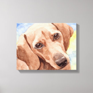 Dachshund Canvas Print