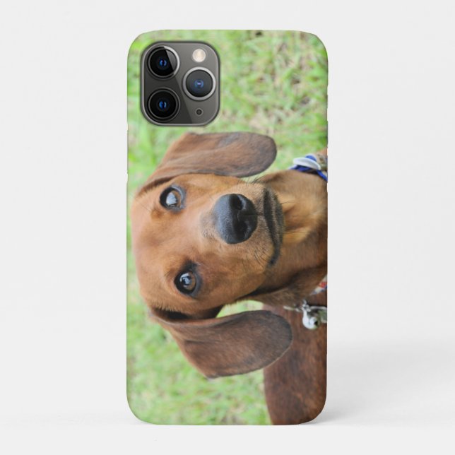 Dachshund Case-Mate iPhone Case (Back)