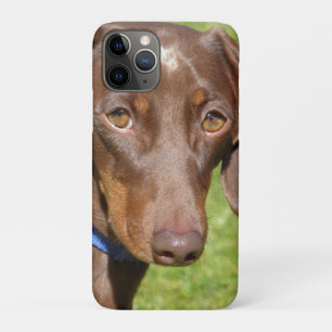 Dachshund  Case-Mate iPhone case