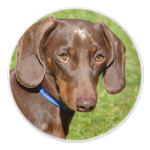 Dachshund Ceramic Knob