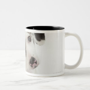 Dachshund/Chihuahua female puppy Two-Tone Coffee Mug