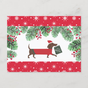 Dachshund Christmas Cute Dog Snowflakes Holly Postcard