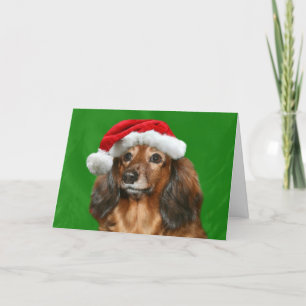 Dachshund Christmas Holiday Card