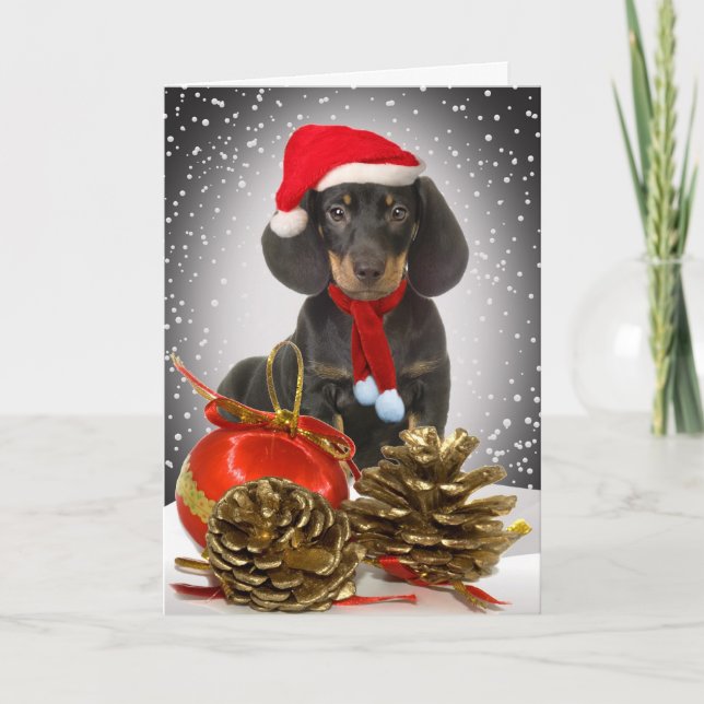 Dachshund Christmas Hound Cards (Front)