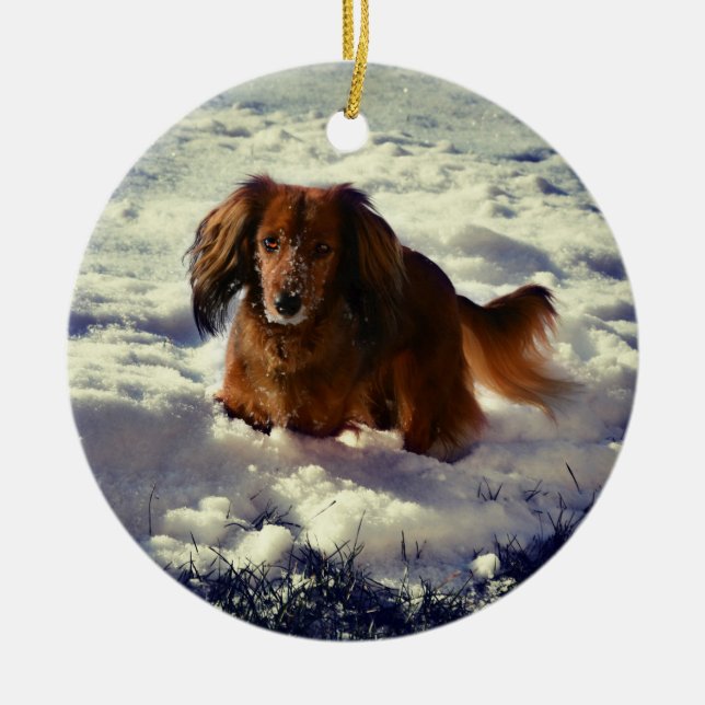 Dachshund Christmas Ornament With Photo (Front)