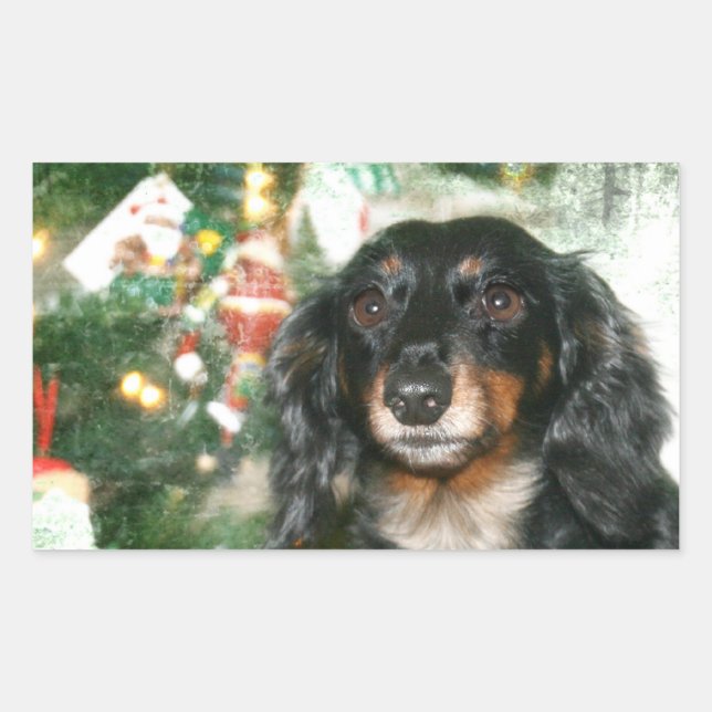 Dachshund Christmas Rectangular Sticker (Front)