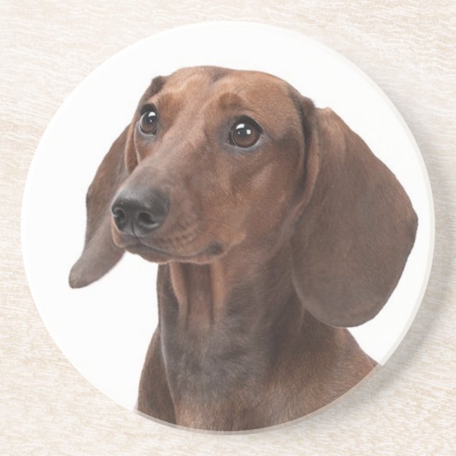 Dachshund Coaster (Front)