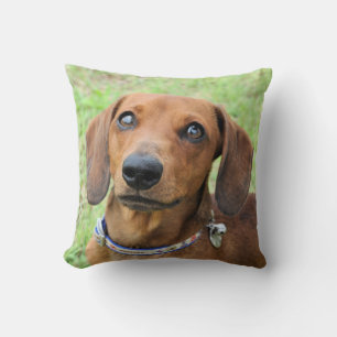 Dachshund Cushion