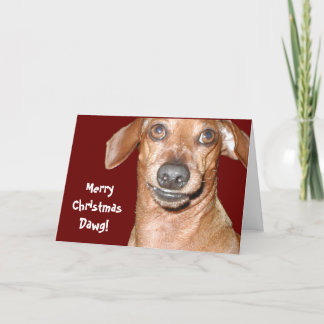 Dachshund Dawg Christmas Card