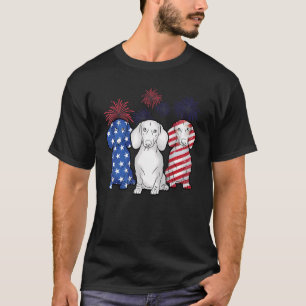 Dachshund Dog American Flag Dog 4th Of July Firew T-Shirt