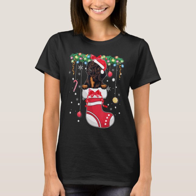 Dachshund Dog  Christmas  Dog Christmas Stocking 1 T-Shirt (Front)