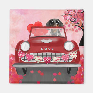 Dachshund Dog Driving Car with Hearts Valentine's Magnet